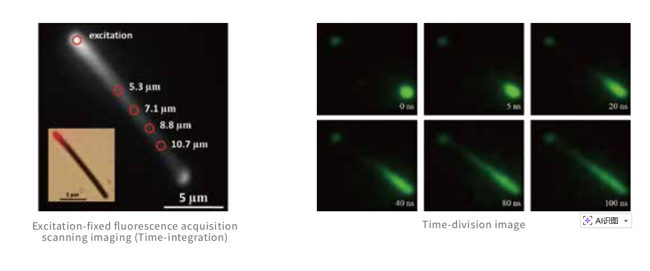 Carrier Migration Mapping