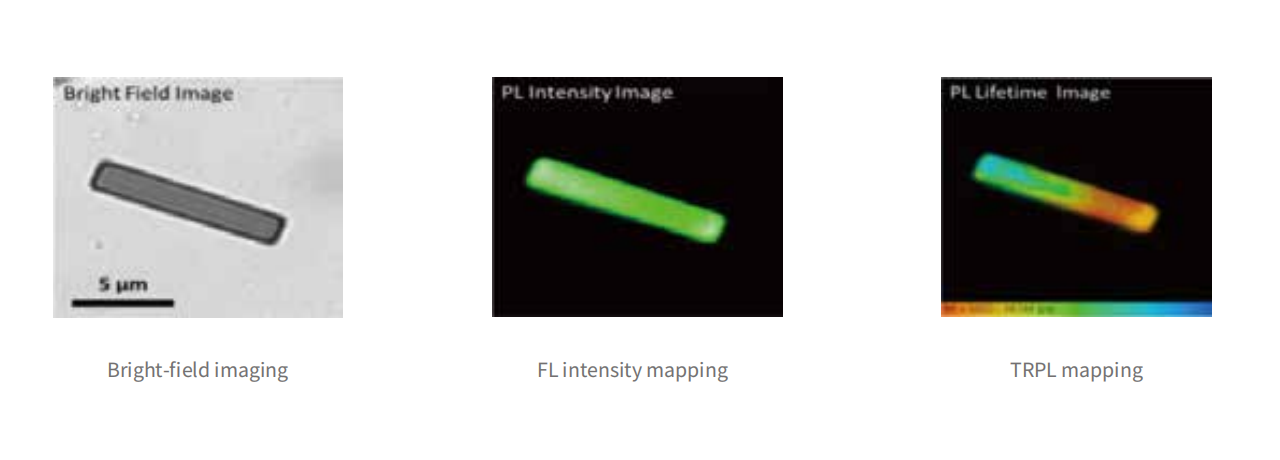 Laser Scanning Confocal Fluorescence Lifetime Imaging Microscopy