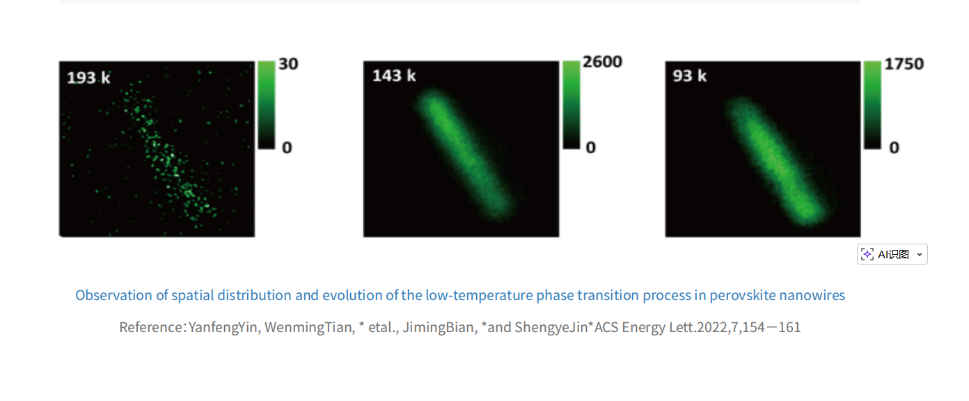 Fluorescence Mapping in a Low-Temperature Chamber