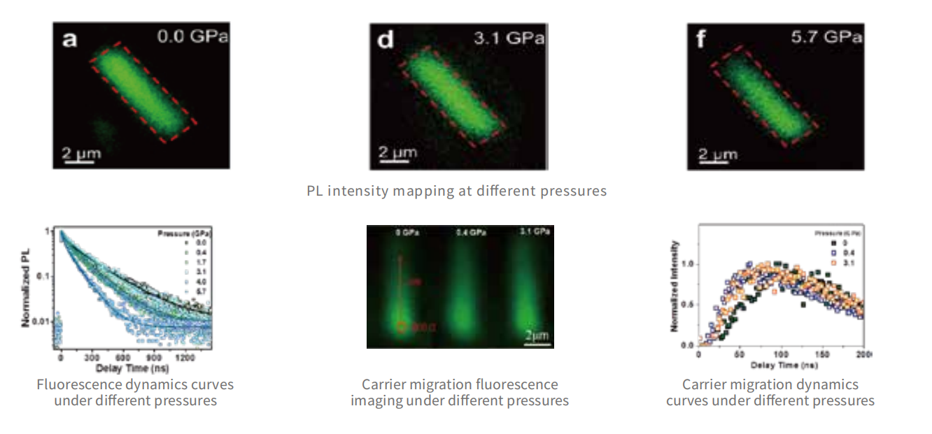 Fluorescence Mapping in a High-Pressure Chamber